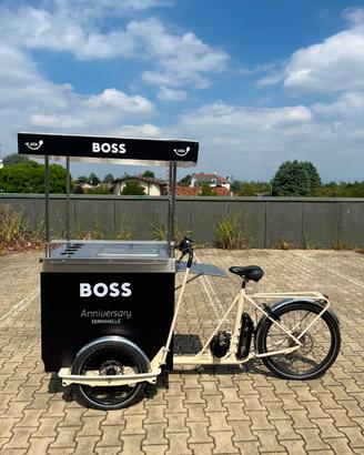Cargo Food Bike elettrica professionale