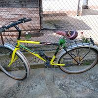 Mountain bike 