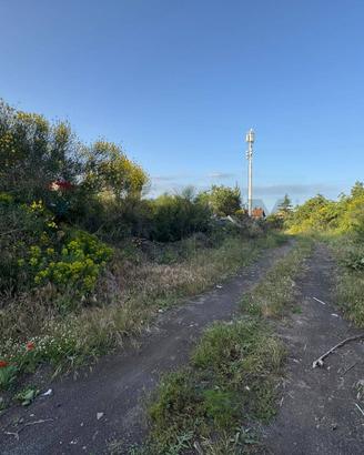 Terreno - Mascalucia