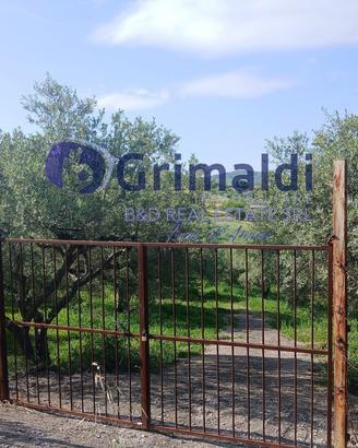 Terreno Agricolo Bagheria [TerM/3VCG]