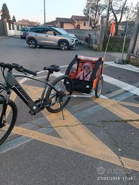 bicicletta elettrica