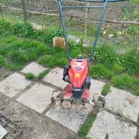 motozappa brumi Pulce 3