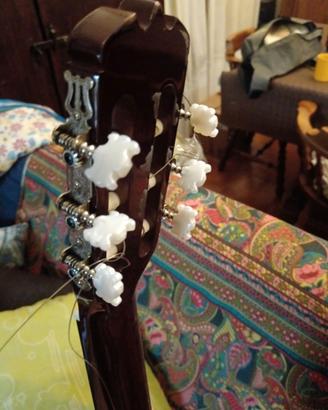 Chitarra