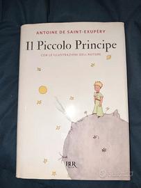 Il Piccolo Principe