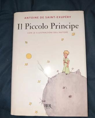 Il Piccolo Principe