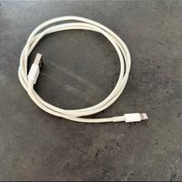 Cavetto da USB a lightning per iPhone