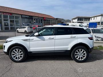 Land Rover Range Rover Evoque 5p 2.2 td4 Pure 