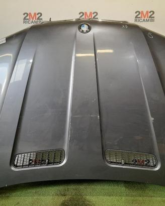 COFANO ANTERIORE BMW X5 Serie (E53) 41617008328 M5