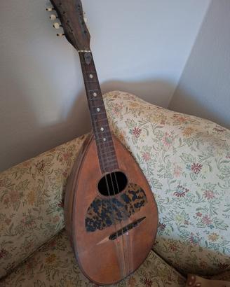 antica mandola '800 mandolino