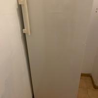 frizzer frigo
