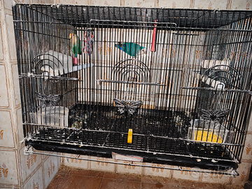 Coppia di inseparabili con gabbia e nido