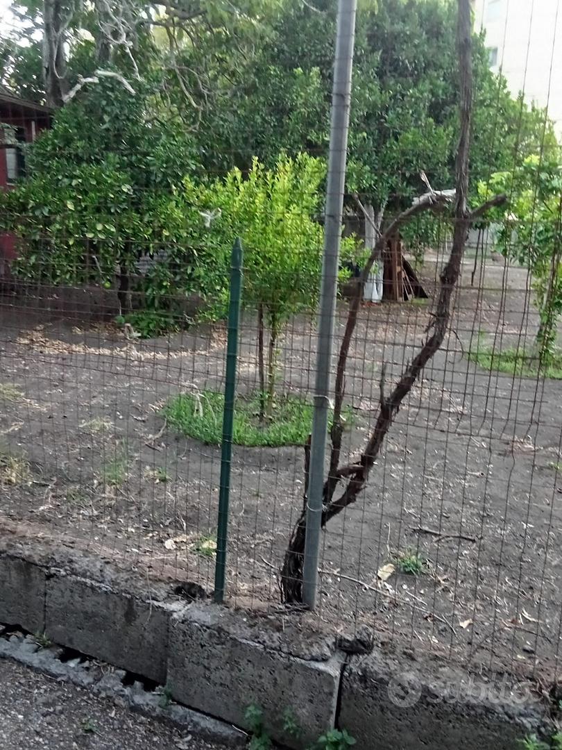 Terreno agricolo - Altro