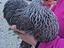 Immagine 5