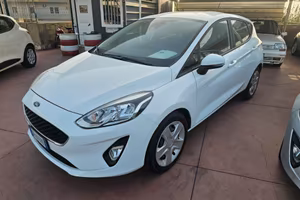 Ford Fiesta 1.5 EcoBlue 5 porte Vignale