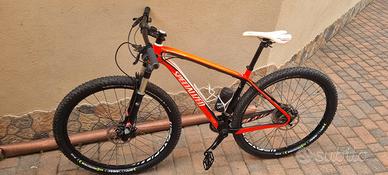 MTB Specialized  in carbonio