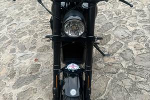 Harley Davidson street rod