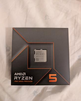 AMD Ryzen 5 7600X - in garanzia fino 10/2026