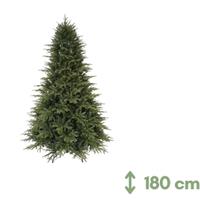 Albero di natale Oregon