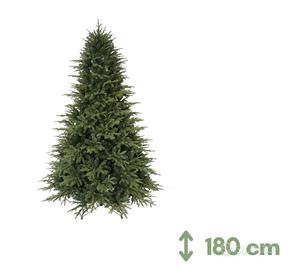 Albero di natale Oregon