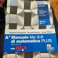 Lotto Manuale Blu di Matematica PLUS - 