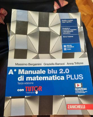 Lotto Manuale Blu di Matematica PLUS - 