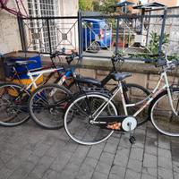 Bici mtb bici bianchi donna e Bottecchia velocità