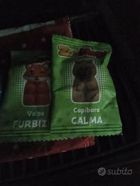 zoomogi volpe e capibara