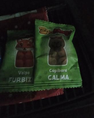 zoomogi volpe e capibara