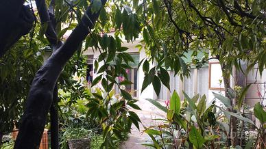 Casa campidanese con giardino