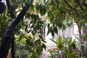 Casa campidanese con giardino