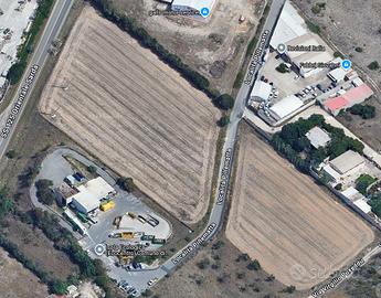 Ampio Terreno Pillematta