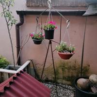Supporto treppiede gabbia per uccelli