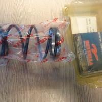 molla variatore con cuscinetto