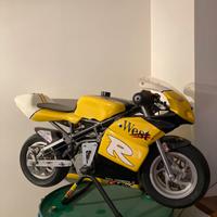 Mini moto DM