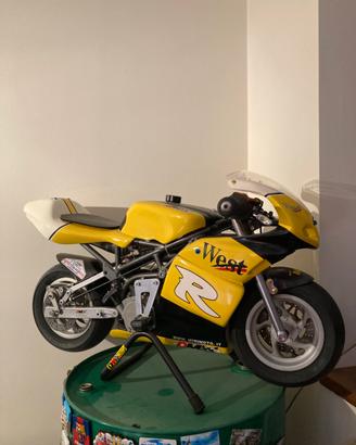 Mini moto DM