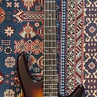 BASSO ELETTRICO IBANEZ + FENDER RUMBLE 15