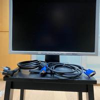 Monitor BELINEA 1925 S1W LCD TFT 19"