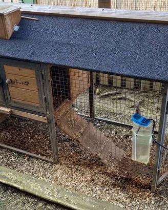 Casetta esterna roditori