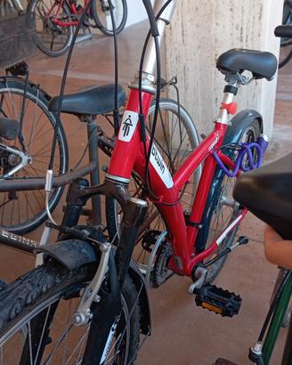 Bici donna Duna Verde