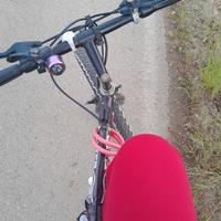 Atala Flyer ben tenuta 