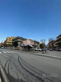 ATTIVITÀ A GUIDONIA MONTECELIO