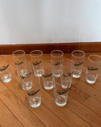 Lotto da 10 bicchieri Staropramen