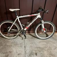 Bottecchia Stelvio Reparto Corse 52