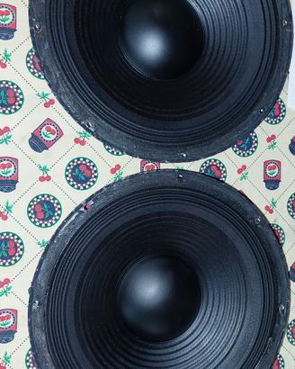 Coppia woofer 25cm