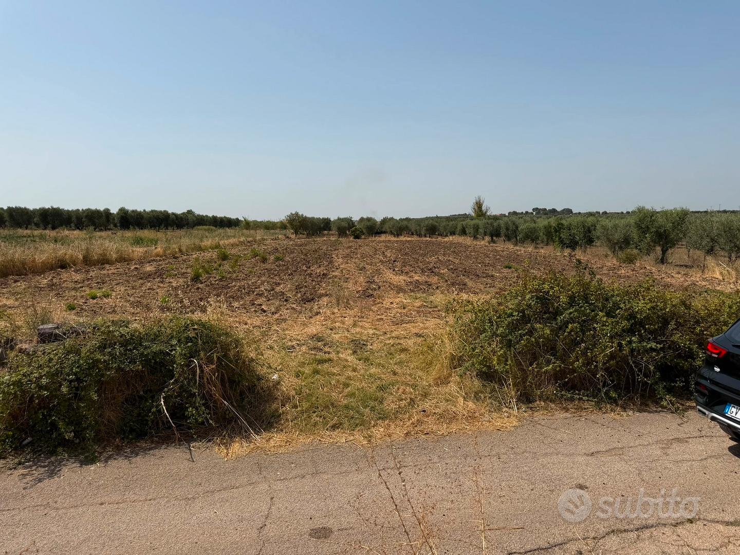 Terreno 3000 mt2 - Vista 2