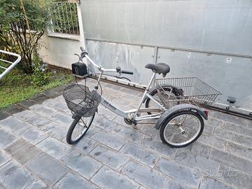 Bicicletta triciclo adulto