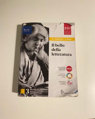 Il bello della letteratura (3)