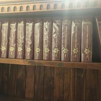 Enciclopedia Medica Italiana