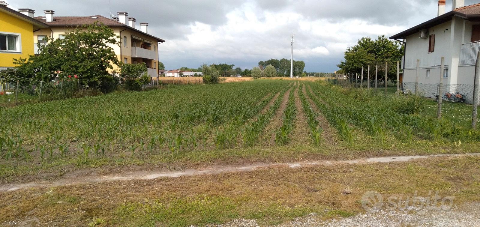 Terreno edificabile e agricolo - Vista 3