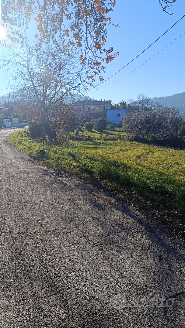 Terreno agricolo - Vista 4